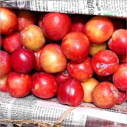 Organic Fresh Plum