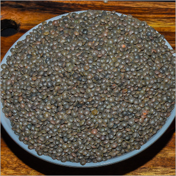 Red Lentils