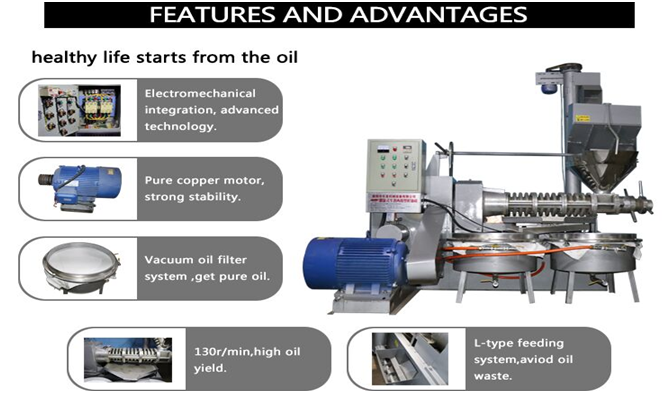 Sesame Screw Press Machine - Automatic Grade: Automatic