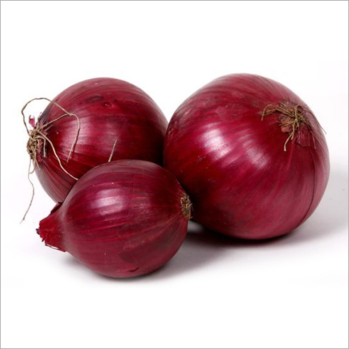 लाल प्याज