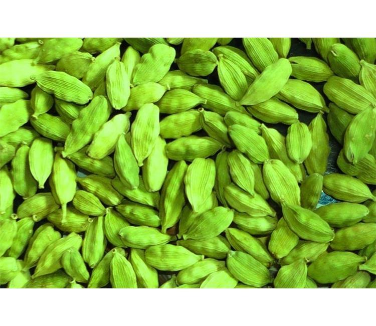 Fresh Green Cardamon