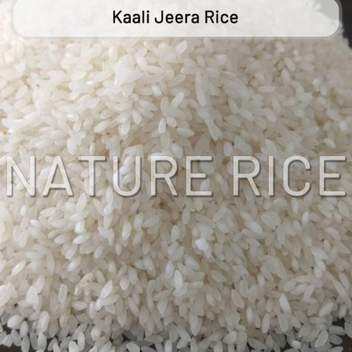 Kaali Jeera Rice - Organic, White Color, 99% Purity | Manufactured with Modern Techniques, Quality Control from Cultivation to Packaging