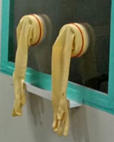 Covid Gloves