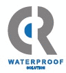 Epoxy Injection Grout Application: Dry Crack Repair Or Steel Plate Reinforcement.