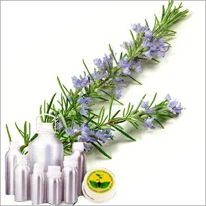 Rosemary Certified Organic Oil