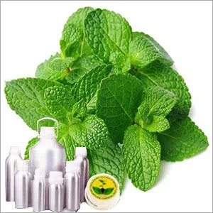 Spearmint Certified Organic Oil