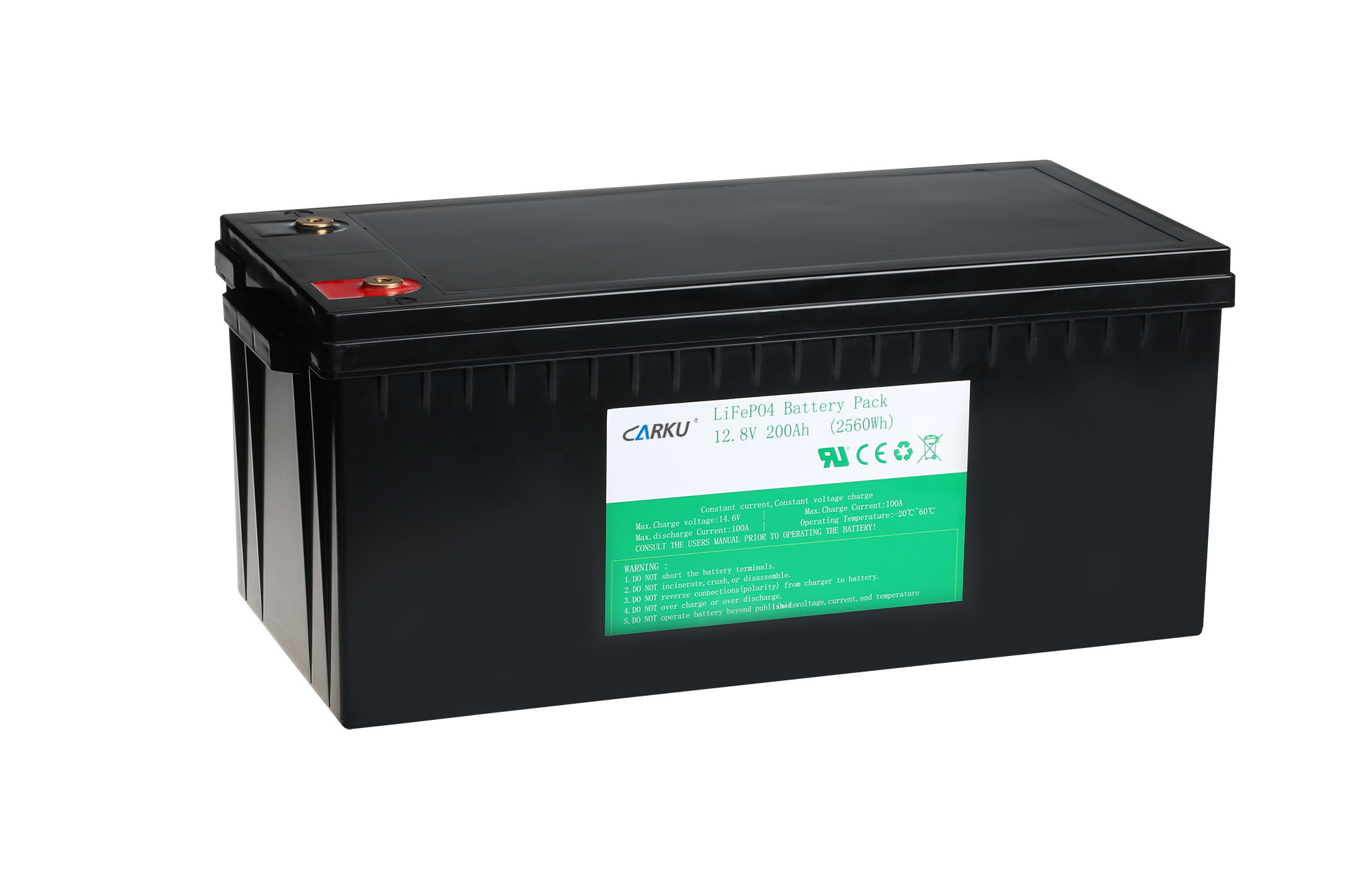 Lithium Iron Phosphate (Lifepo4) Battery