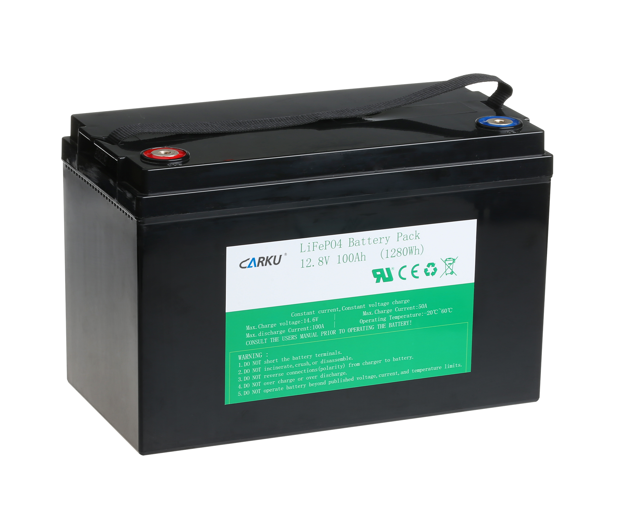 Lithium Iron Phosphate (Lifepo4) Battery