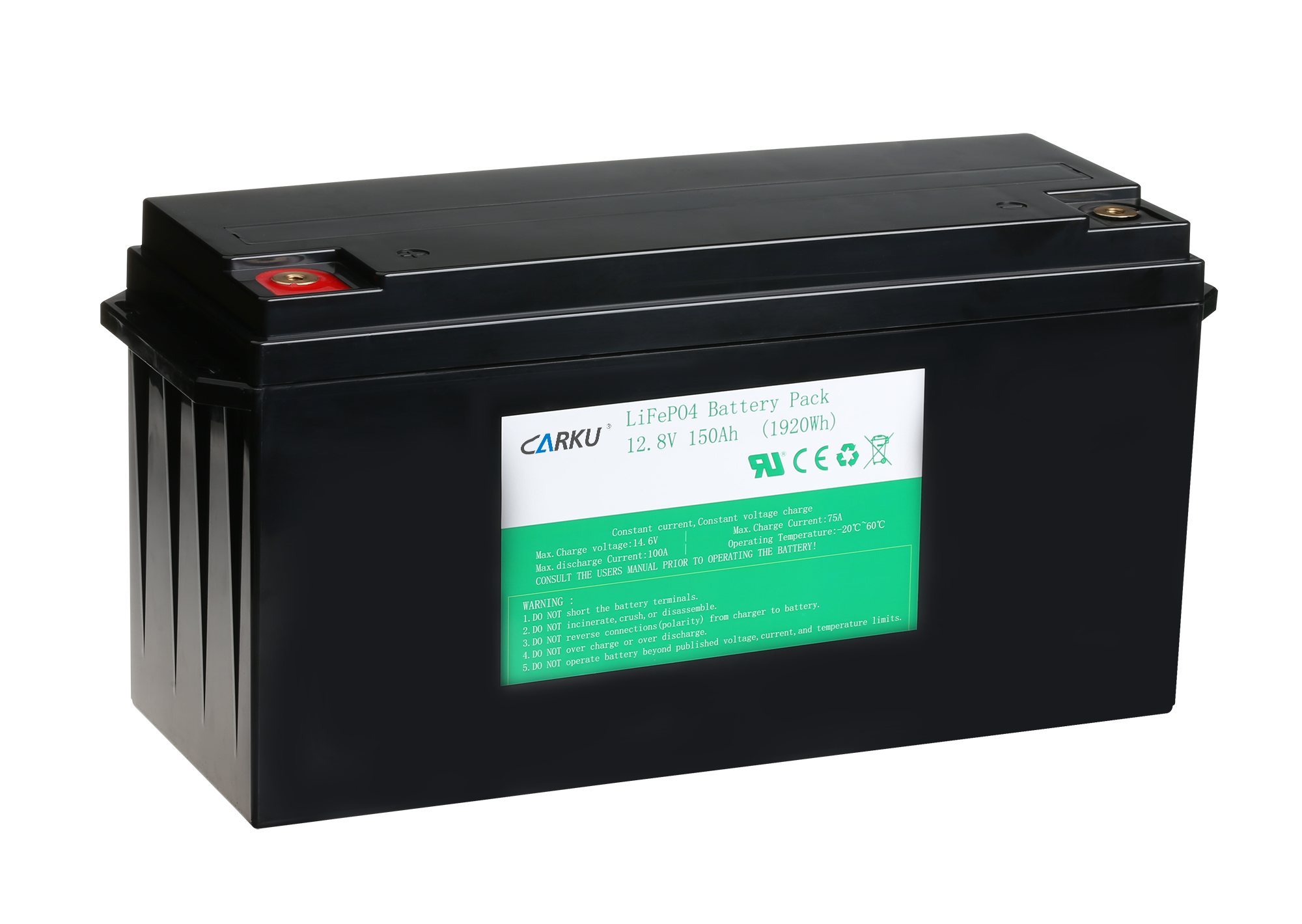Lithium Iron Phosphate (Lifepo4) Battery