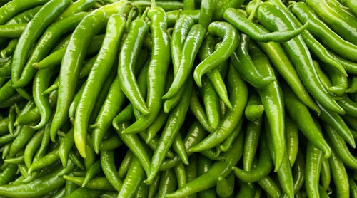 Fresh Green Chilli - Medium Size, Long Firm Texture | Vibrant Green Bulk Packaging