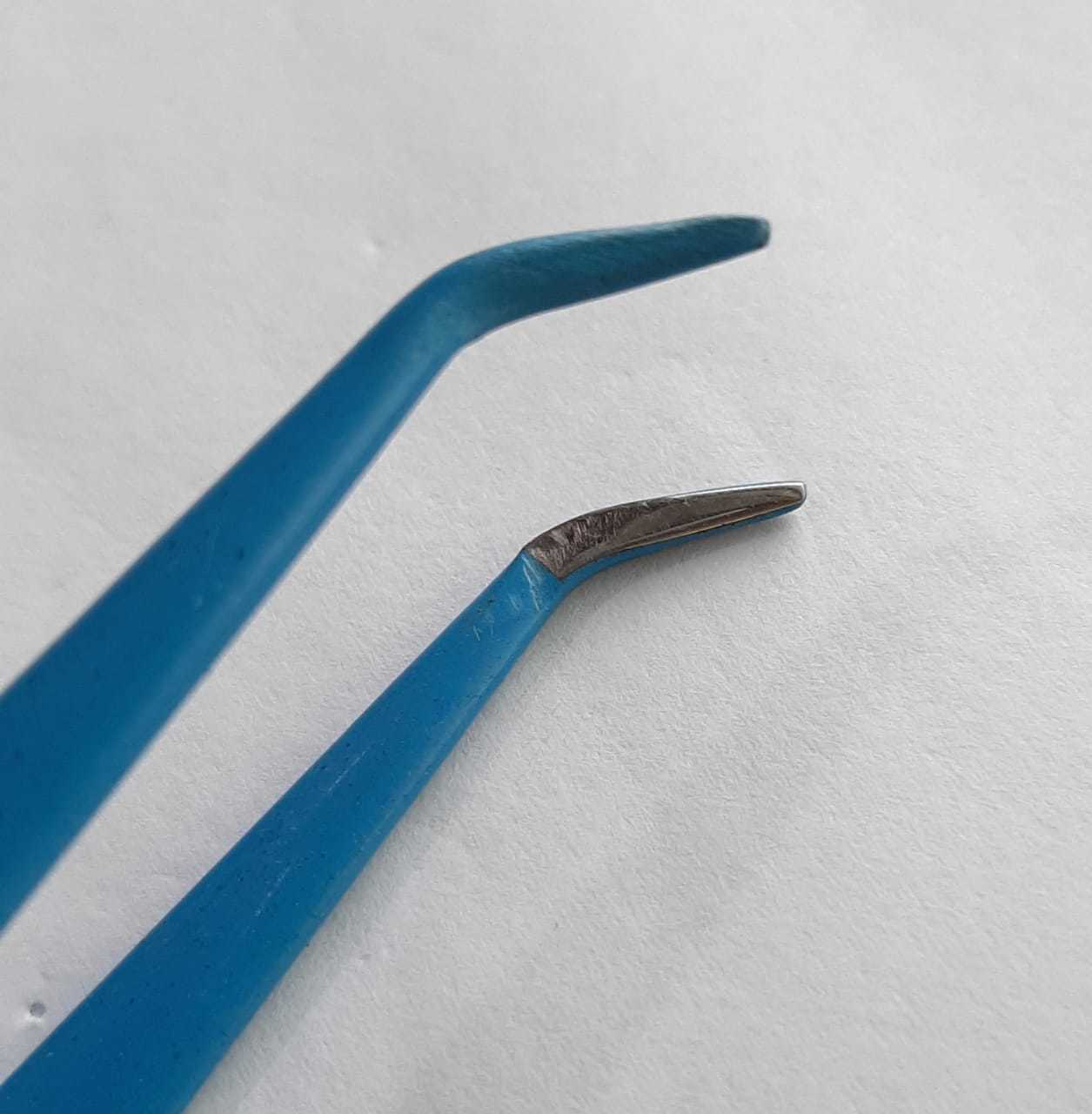 Blue/black Bipolar Angular Forceps (E.n.t Surgeons)