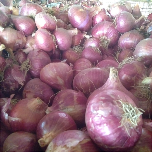 Pink Onion