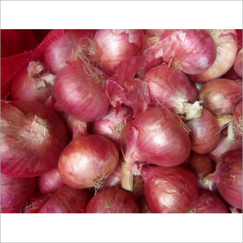 Fresh Red Onion