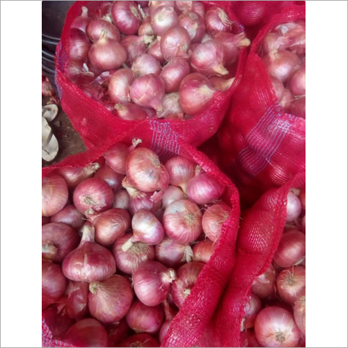 Fresh Red Onion