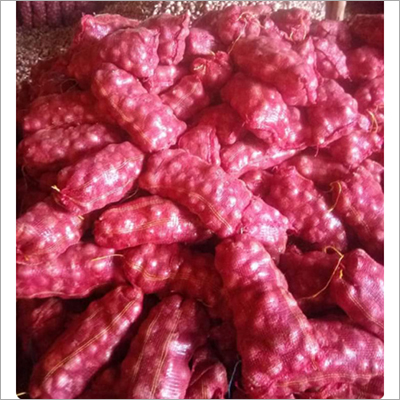 Fresh Red Onion