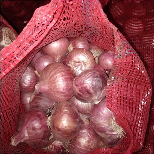 Fresh Red Onion