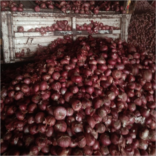 Red Onion