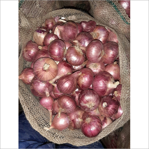 Red Onion