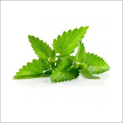 Min Leaves