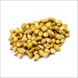 Coriander Seeds - 25kg Bags, Brown Color, 8% Moisture | Fresh Flavor, High Quality, Natural, Organic, Rich Aroma, Versatile Use