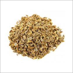 Dill Seeds