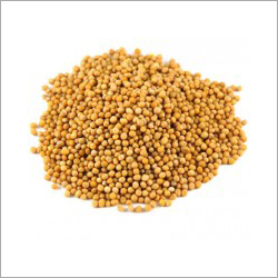 MUSTARD SEEDS