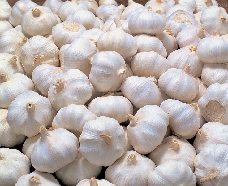 Fresh Garlic Grade: A1