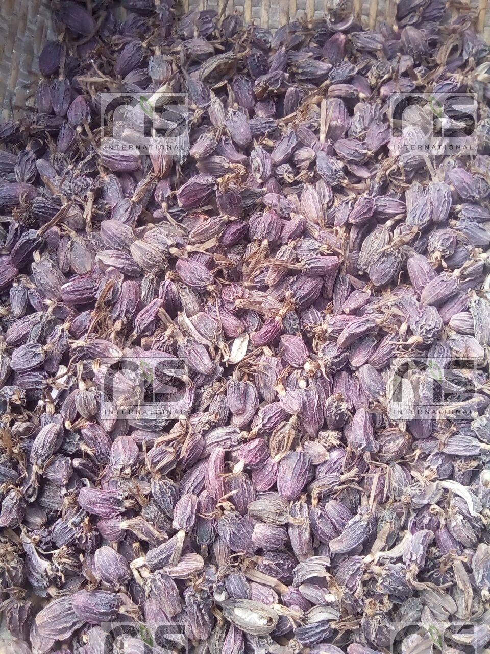 Black Cardamom