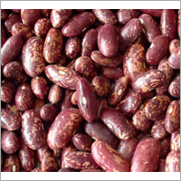 Purple Speckled Kidney Beans