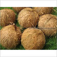 ताजा सेमी हस्कड परिपक्व नारियल