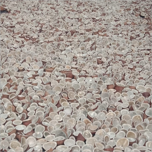 Dried Copra - Natural Coconut, Large & Medium Sizes, White Color | Moisture 6%, Oil Content 62-68%, Gluten-Free, Organic, Vitamin C 5%