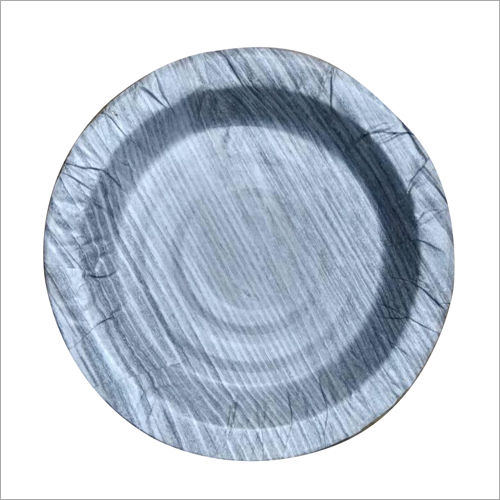 Silver Disposable Paper Plate