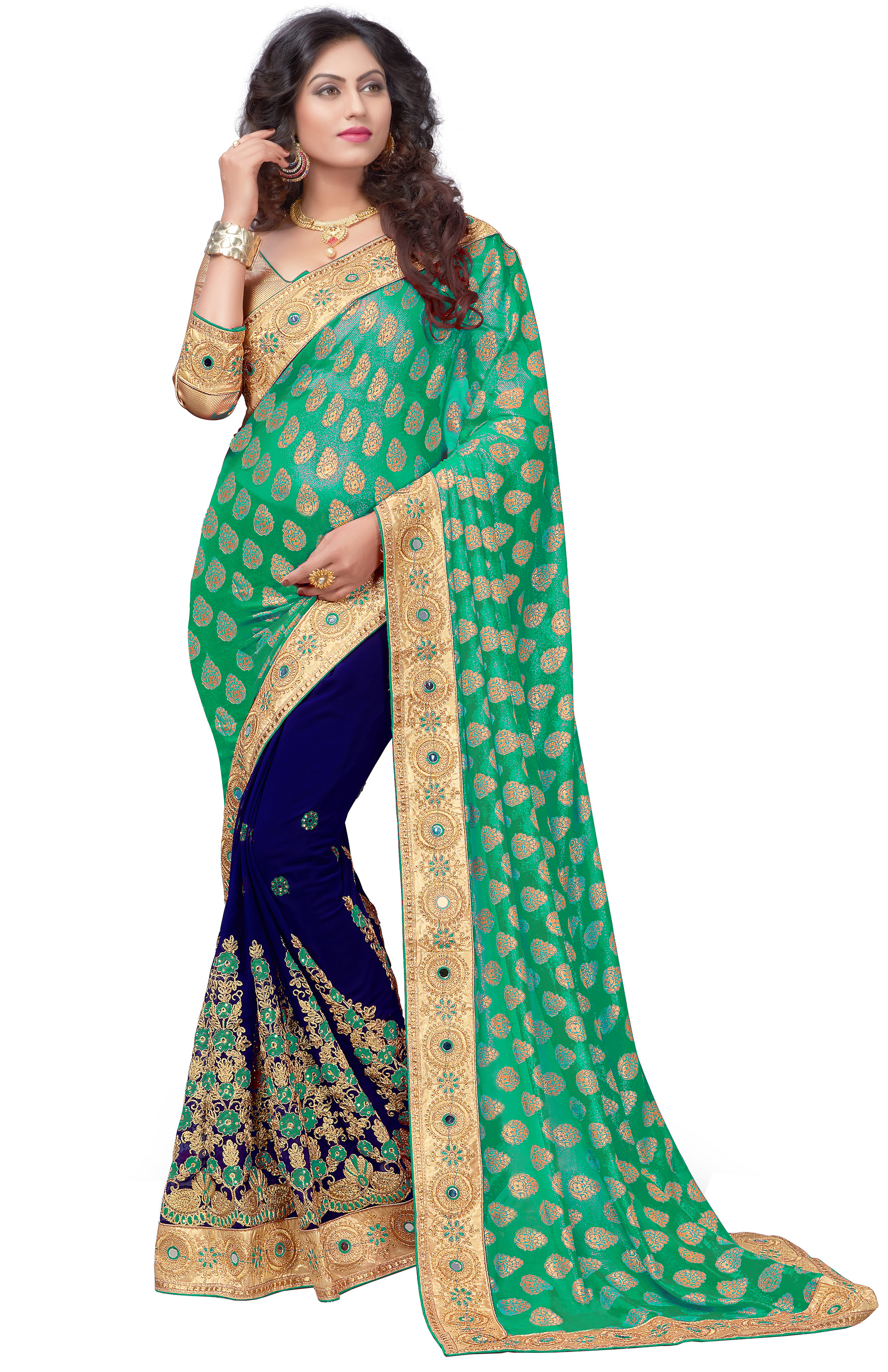 Multicolor Brasso & Georgette Embroidered Saree Collection