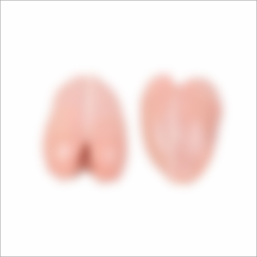 पूरा स्तन