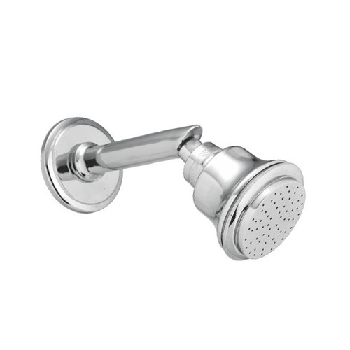 Bend Shower Brass
