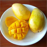 Fresh Mango