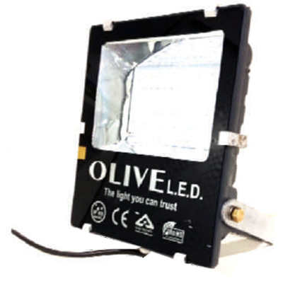 इलेक्ट्रा डीएफएस मिनी एलईडी फ्लड लाइट