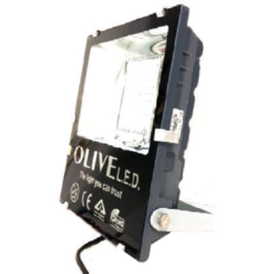 इलेक्ट्रा डीएफएस मीडियम एलईडी फ्लड लाइट