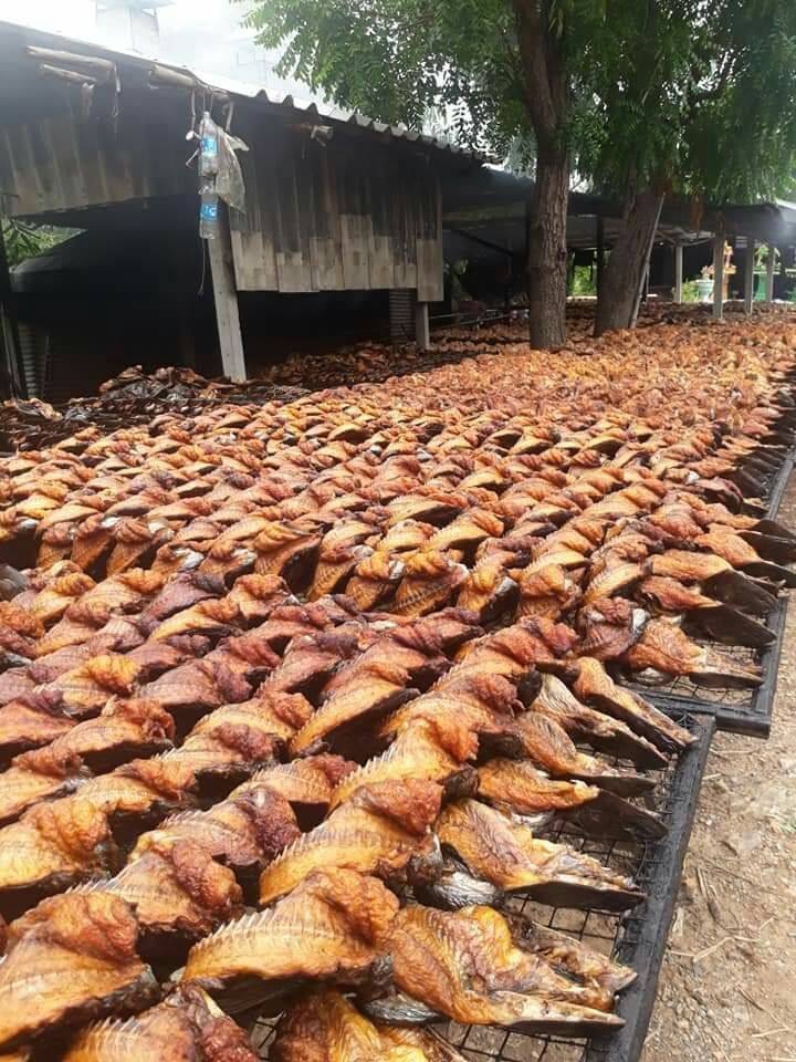 Organic Smoke Dry Fish