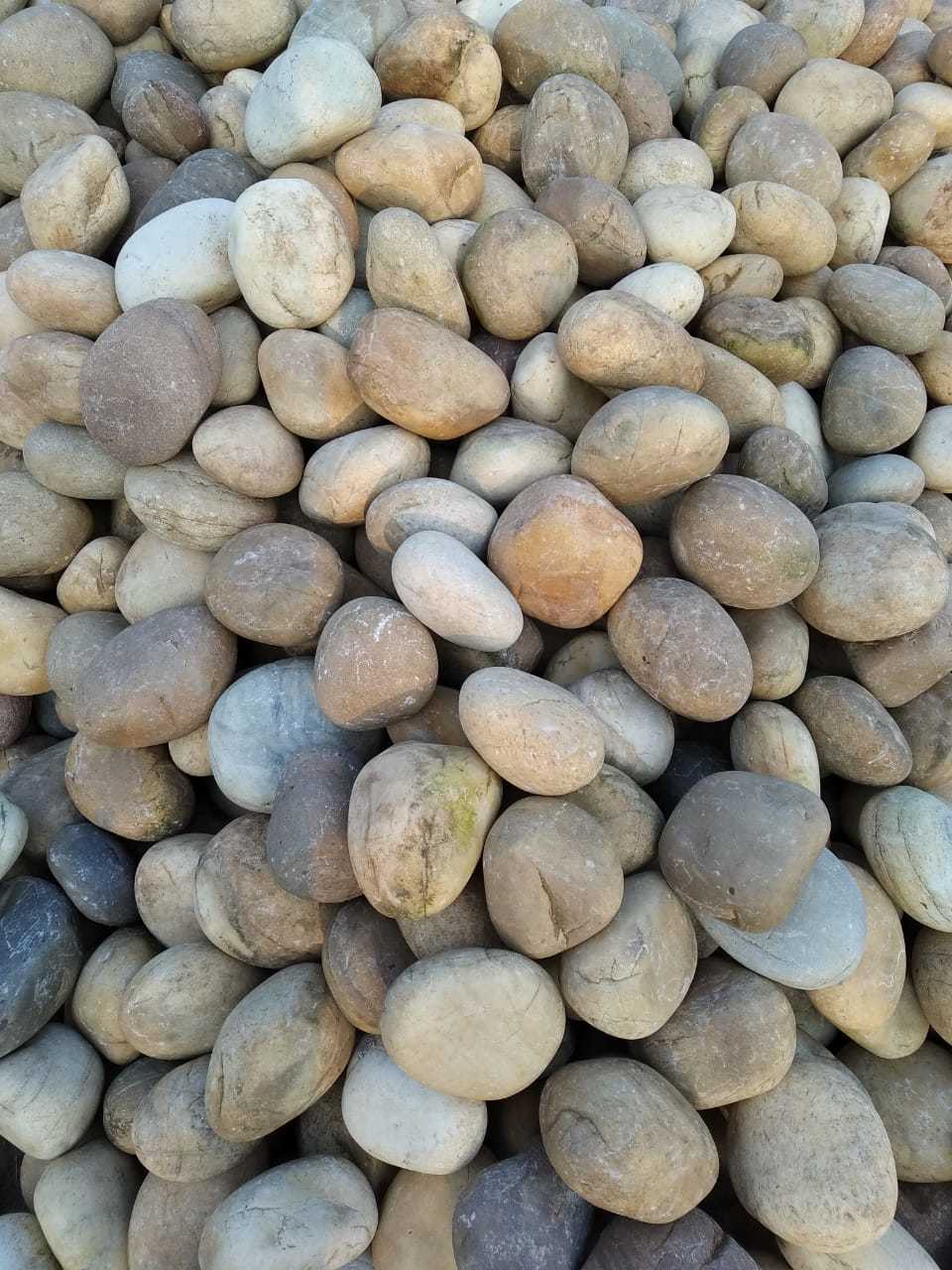 Natural River Mix Color Pebbles - Sizes 10mm To 200mm , Tumbled Finish And Free Sample Available
