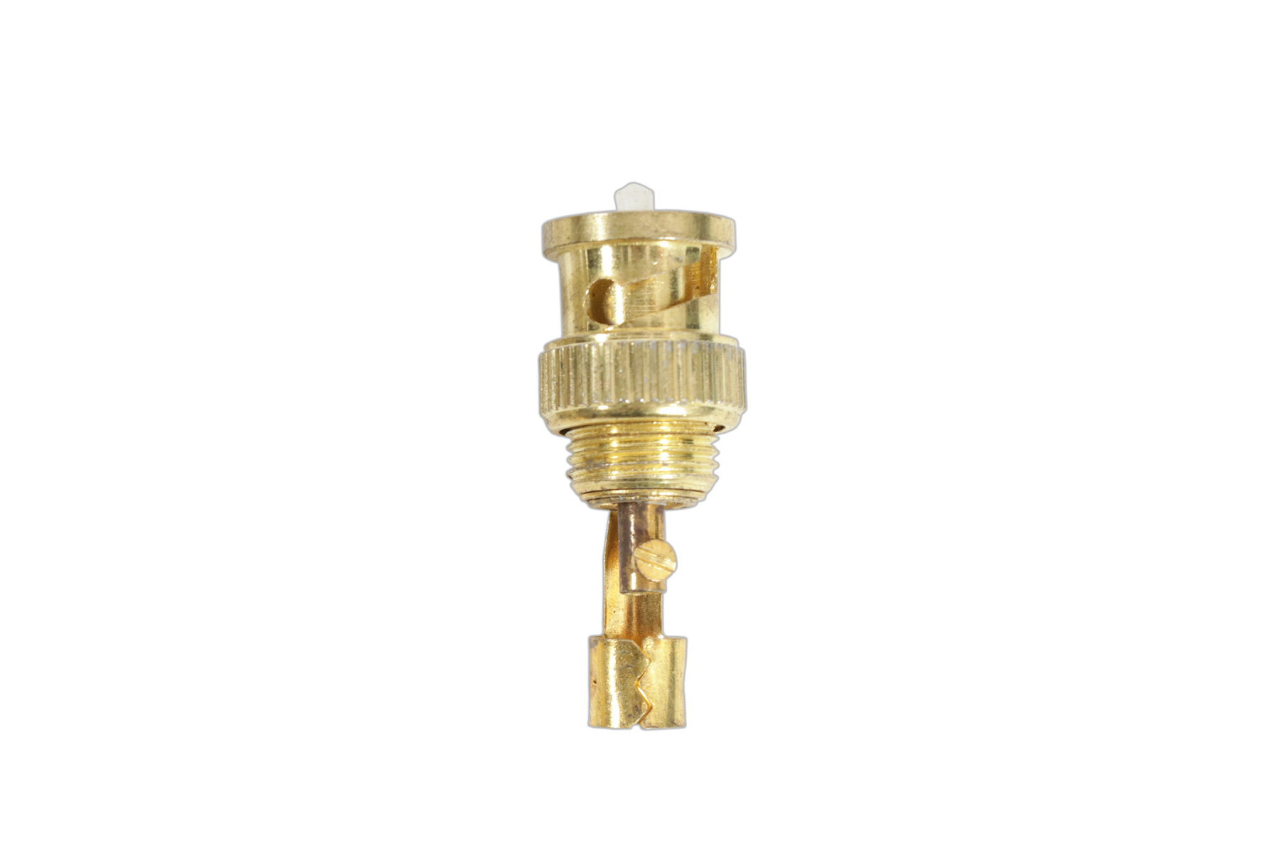 Bnc Plu With Golden Colour