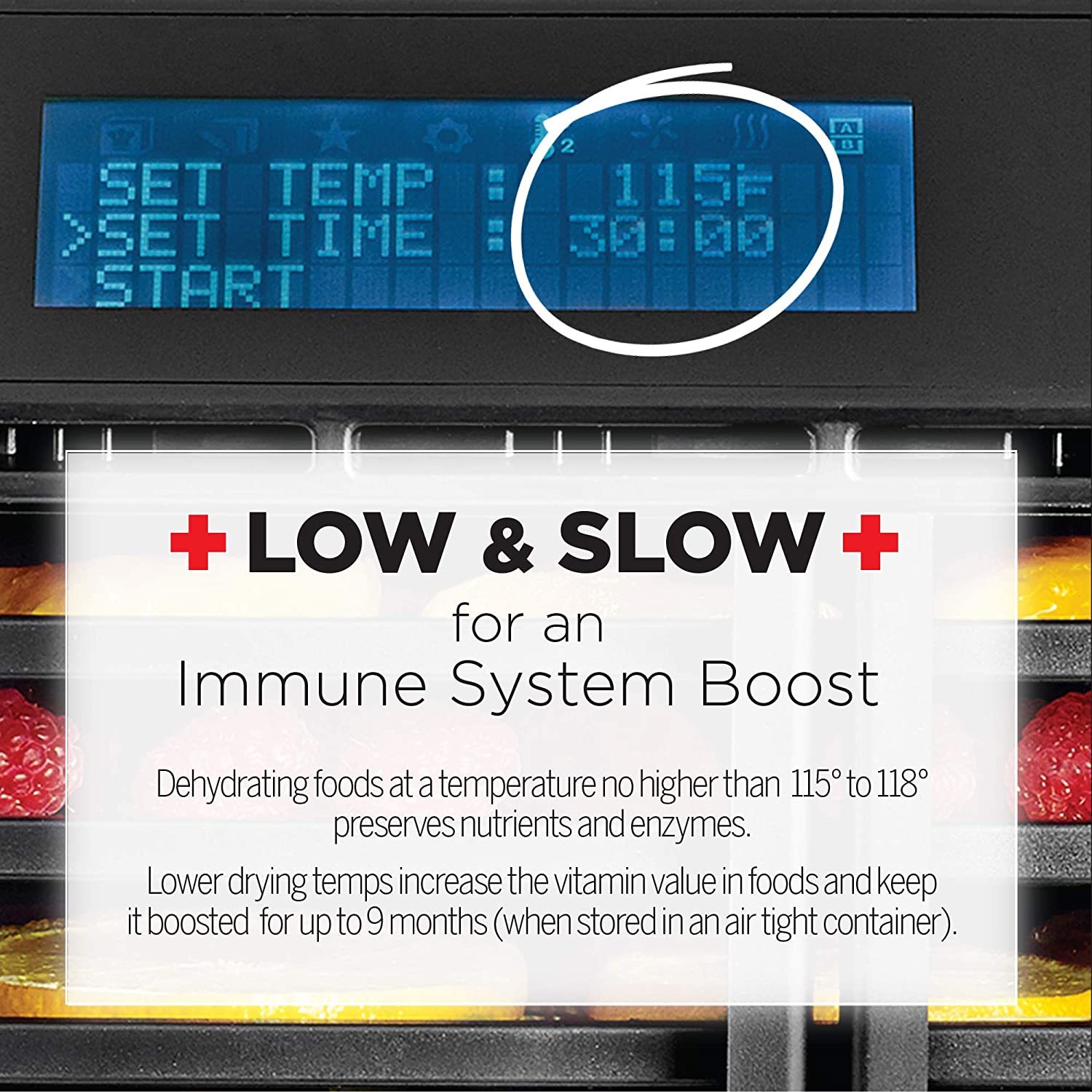 Commercial Excalibur Dehydrator - Color: Black