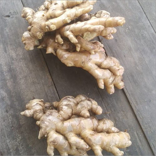 Fresh Ginger