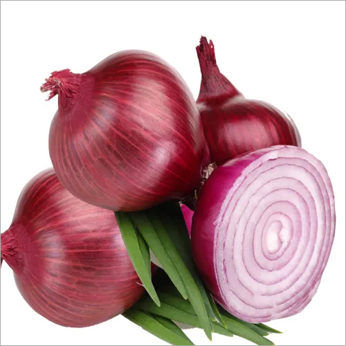 Natural Fresh Onion