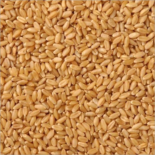 Whole Wheat - Organic High-fiber, Mild Aroma | Brown Color, High Purity, Supports Healthy Digestion