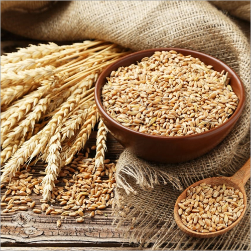 Whole Wheat - Organic High-fiber, Mild Aroma | Brown Color, High Purity, Supports Healthy Digestion