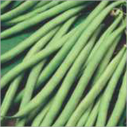 रिसर्च बीन्स किरण 07