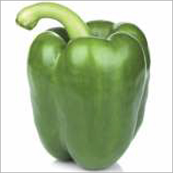 F1 मीठी मिर्च गीता अंजलि 16