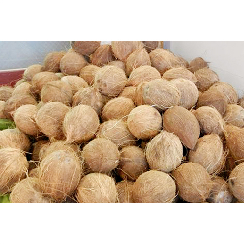 Fresh Coconut - Whole Organic Coconut, 250 Kg Round Shape | Hygienically Cleaned, Ideal for Worship and Culinary Use