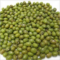 Green Mung Beans